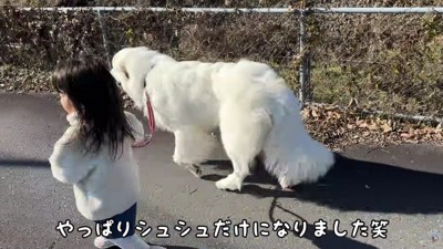 シュシュちゃんだけになりました♪