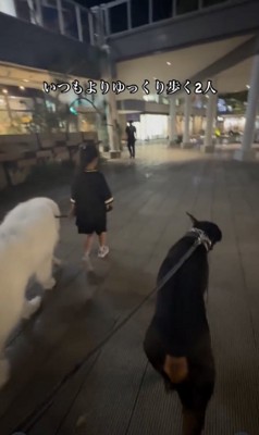 いつもよりゆっくりと