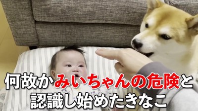 いじめられていると勘違い