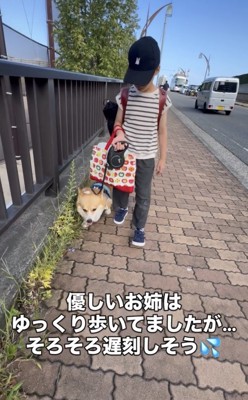 人のそばを歩く犬
