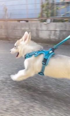 ムウくんの成長4