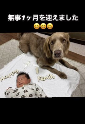 ルルちゃんと赤ちゃん6