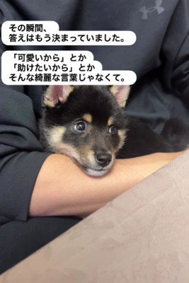 家族として迎えることを決意