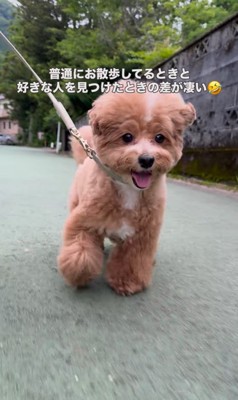 お母さんを見つけた時の福ちゃん＆米ちゃん3