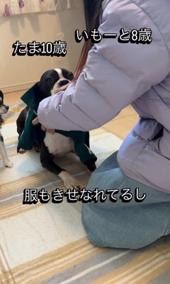 たま君と女の子の成長5