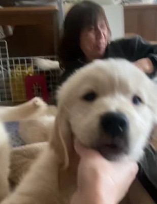 四方八方にパピーの姿が…