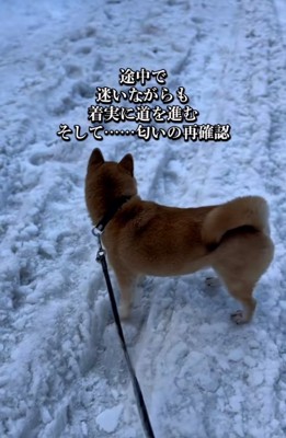 あたりを見渡す朔くん