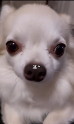 寝起きのありすちゃん7