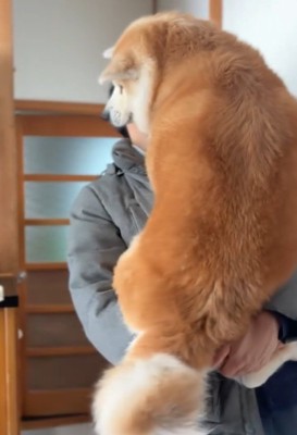 おはるちゃんをあやすパパ