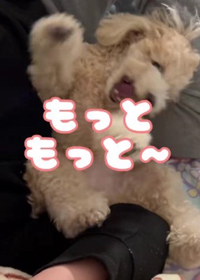 前足をジタバタ