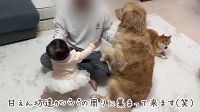 パパに大集結する3兄妹