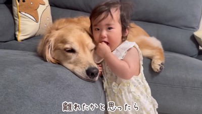 何度もおからちゃんの元に…