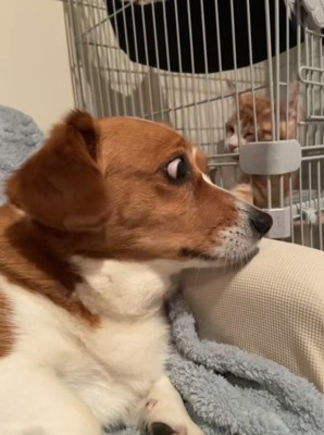 お顔を近づけると…