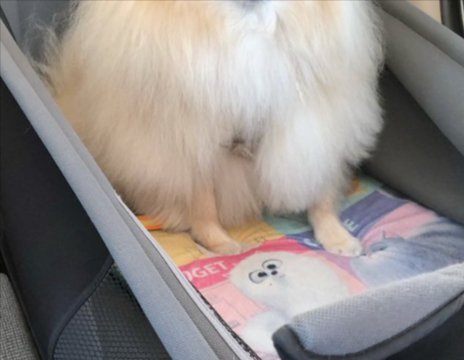 ドライブ