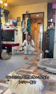 実は現役のトリマーさん