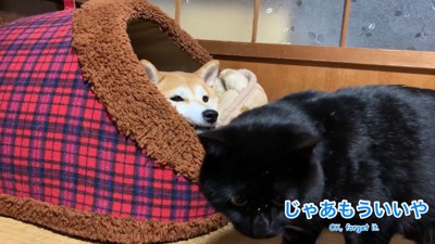 立ち去ろうとしたら…