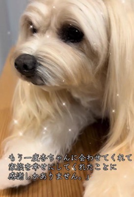 家族全員が前を向けるように