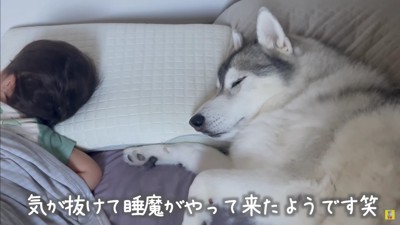 ちょっぴり寝不足