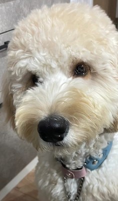 とっても甘えん坊な一面も♪