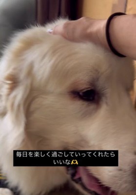 愛情もいっぱいもらってる