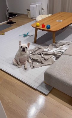 はなちゃんの体勢