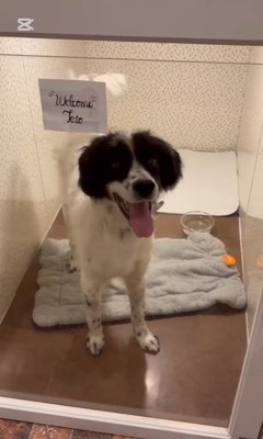 テトくんが幸せを掴むまで2