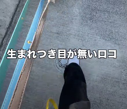 お散歩するときは…