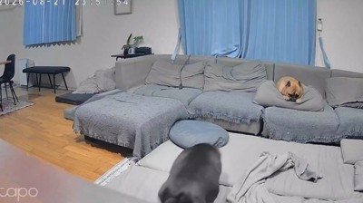 亡くなる26時間前