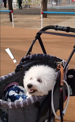 ミルクくんのナイスリアクション3