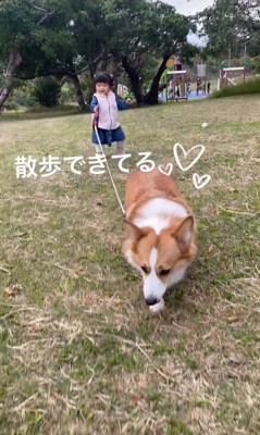 エルモちゃんと娘さん2