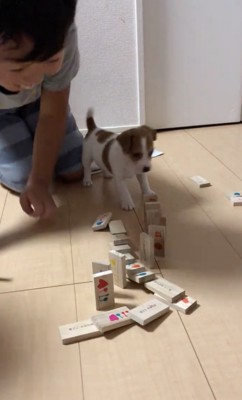 「こっちにもある…」