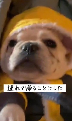 連れて帰ることに!