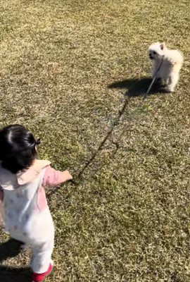 もち君と赤ちゃんのお散歩2