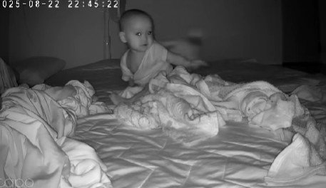 走り回るベアちゃん