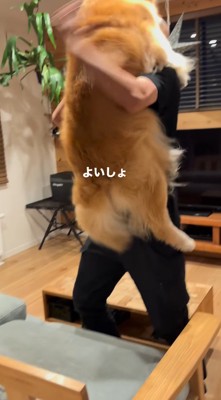男性に抱きつこうとする犬