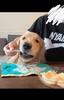 桃を食べるコロッケくん5