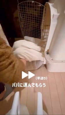 抱っこで寝室に運ばれる男の子