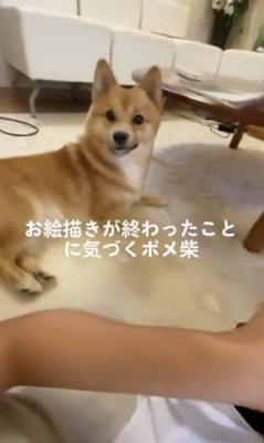じーーっ