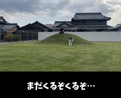 助走をつけて、もう一度突進