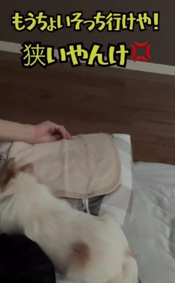 ポジションの取り合い