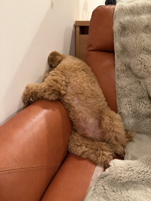 ヤサグレ