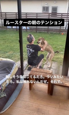 ルースターちゃんと旦那さん5