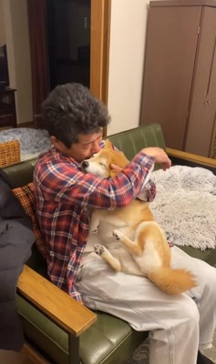 飼い主に抱きしめられて目をつぶる柴犬