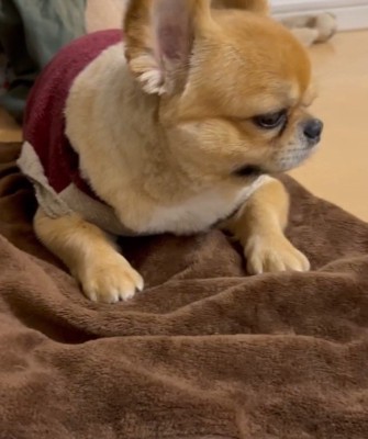 ムッとした表情がたまらない♡