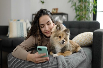 スマホを見る女性と犬