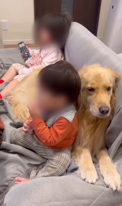 子供と大型犬