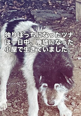 ひとりぼっちだったツナ君