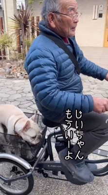 犬をカゴに乗せて電動式三輪車を漕ぐ年配男性