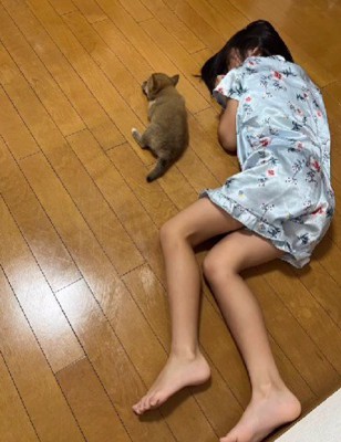 さくらちゃんもメロメロに