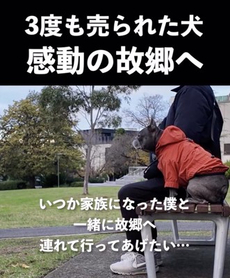 故郷は遠すぎて…